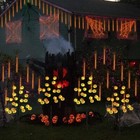Picture 4 of 8