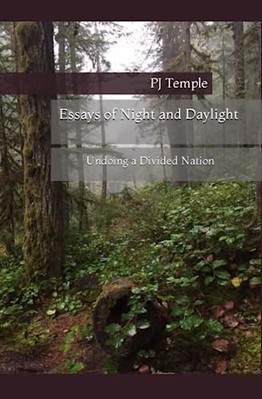 Essays of Night and Daylight: Undoing a Divided Nation - NEU P. J. Temple 2018