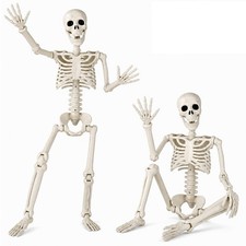 2 Pack 36" Halloween Skeleton, 3 ft Human Skeleton Full Body Posable Joints P...