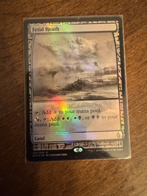 Fetid Heath (foil) - Zendikar Expeditions (EXP)