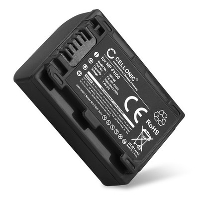 Akku für Sony Cyber-shot DSC-HX100 / HX100V 700mAh