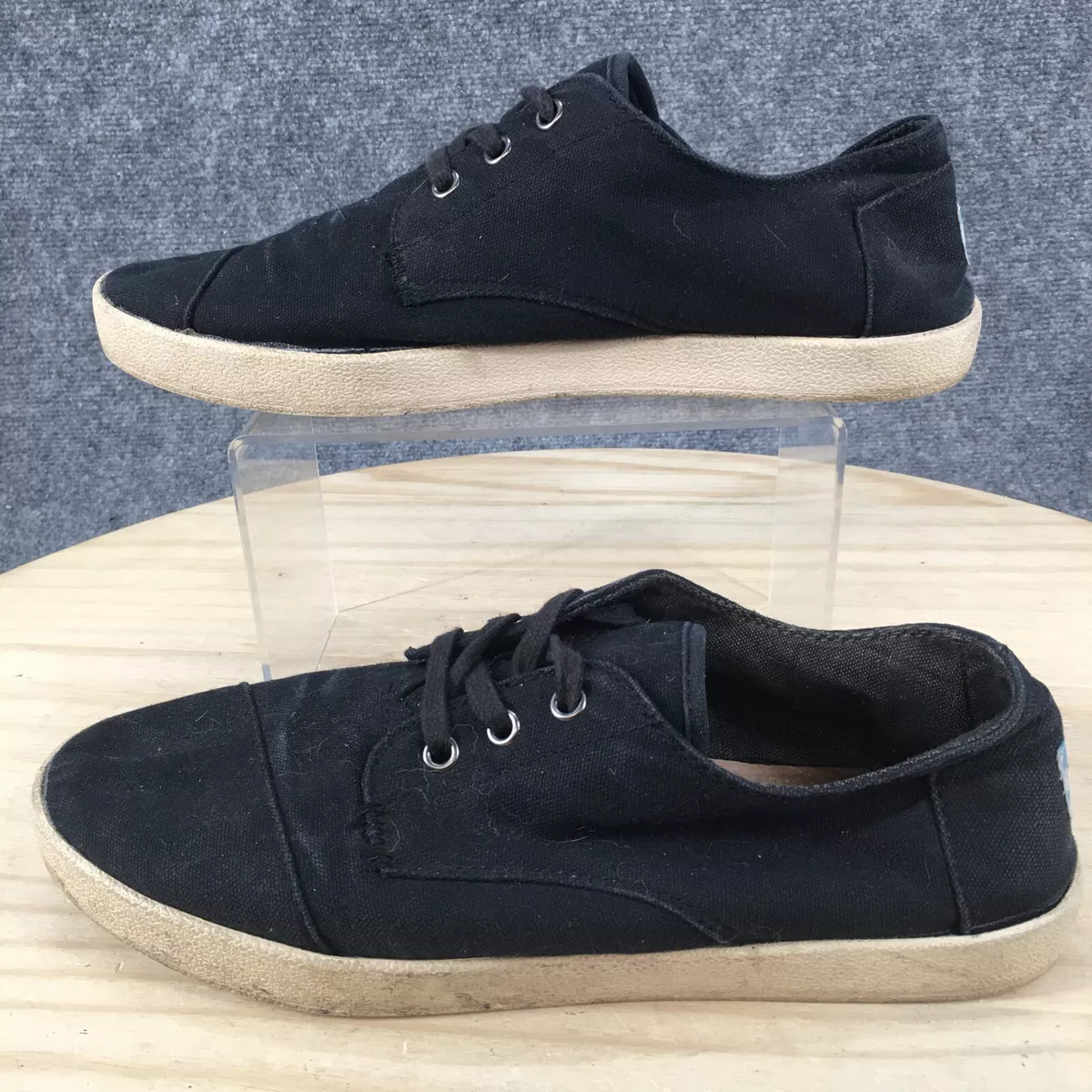 Toms sales paseo sneaker