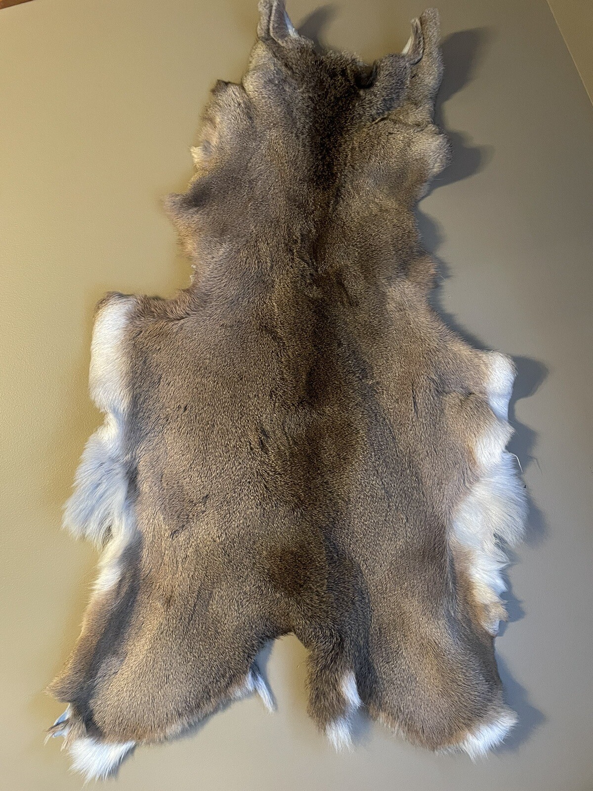 Deer Fur Hair On Whitetail Deer Hide Pelt Deerskin Rug eBay