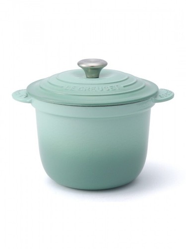 Le Creuset Cocotte Every 20 Sage Rice Pot 20cm 2.8L Cast Iron Silver knob JP NEW - Picture 16 of 19