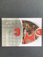 Ben Wallace 2006-07 Fleer Ex Behind The Numbers Patch /199 #3