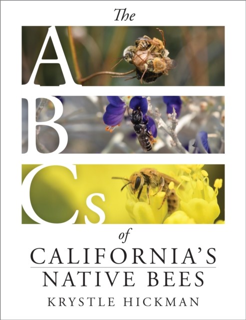 The ABCs of California's Native Bees by Krystle Hickman (Hardback Book)