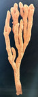 Beautifully Formed L14" x W4" Natural Fingers Sea Sponge Ocean, Sea, Beach — photo 2