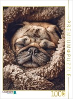 Puzzle Calvendo Louie En Pull Douillet - HéRos De Canapé Confortable | 1000 PièC