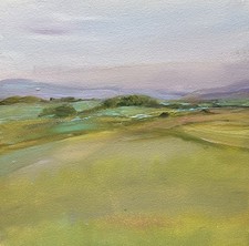  on The Hot Collector