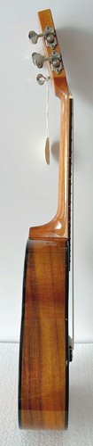 Alulu solid Acacia Koa Concert 23" Ukulele Fish inlay with a soft bag UKCFish-A - Picture 4 of 9