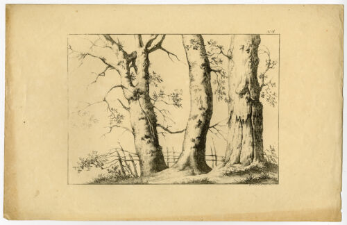 10 Antique Master Prints-LANDSCAPE-TREE-BARN-Anonymous-Portman-ca. 1827 - Picture 1 of 10
