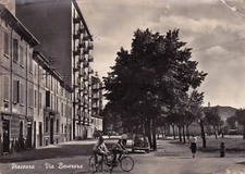 PIACENZA - Via Beverora 1959