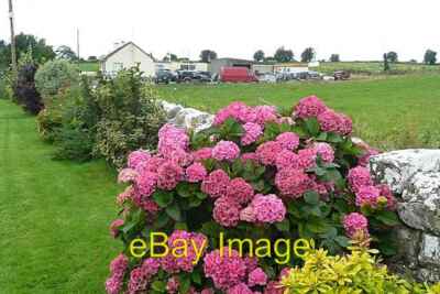 Photo 6x4 Flowers at Skeavally Castlesampson Many houses have pretty flor c2008