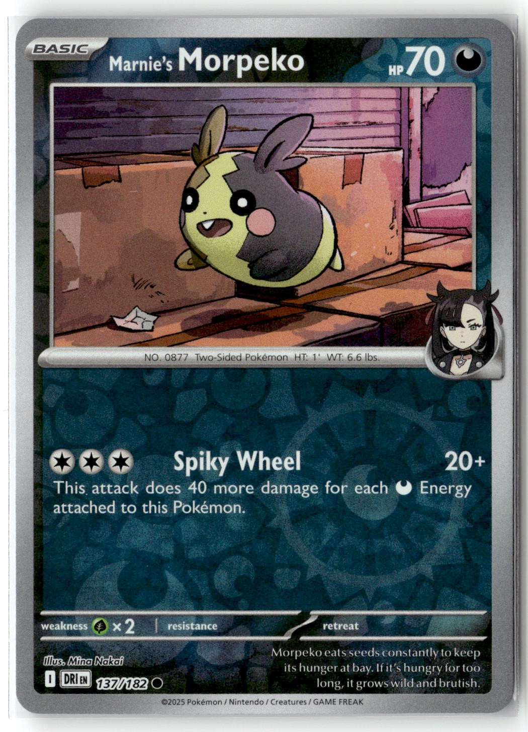 Marnie's Morpeko 137/182 SV10 Destined Rivals Common Reverse Holo Pokemon TCG NM