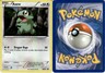 2011 Pokemon, Black & White Promos, #BW10 Axew, Holo Black Star Promo (c) LP