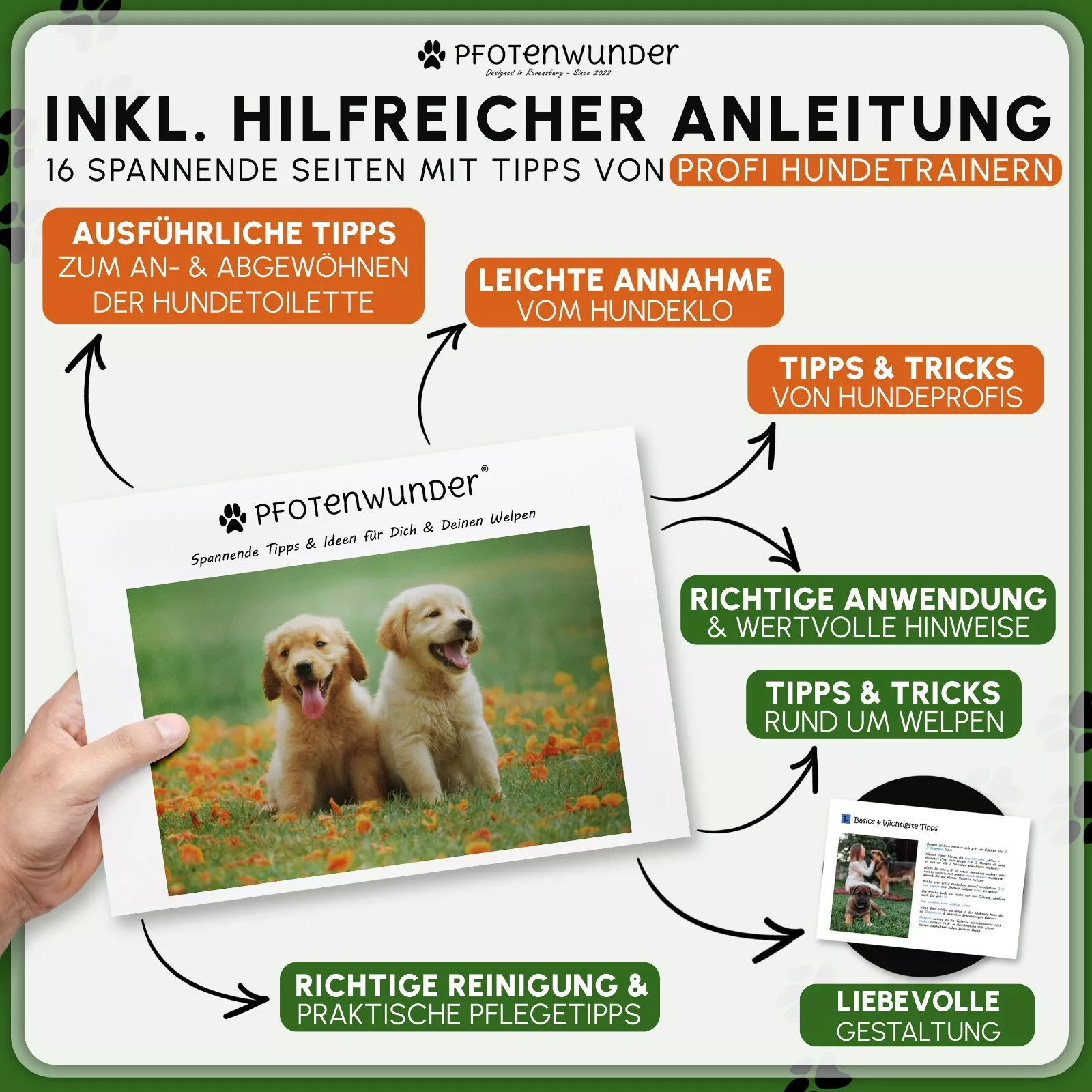 Bild 4 von 12