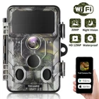 2 Pack 20MP Hunting Game Trail Camera 1296P Wildlife Waterproof Cam Night Vision