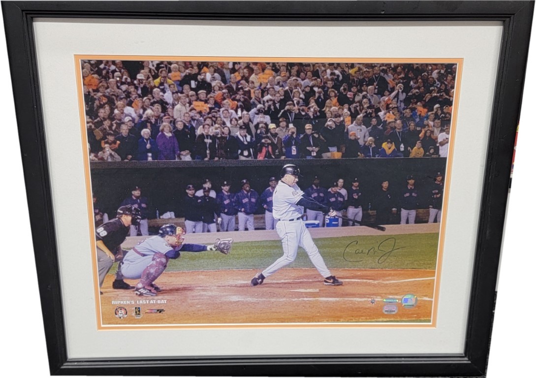 Cal Ripken Jj Autographed Signed Baltimore Orioles Cal Ripken Jr Hand 16x20 Custom Framed Photo Steiner Holo Light 