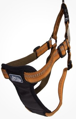 Coastal K9 Explorer Dog Harness Large 26-38  Girth
