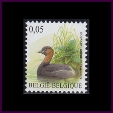 Belgium 2010 (3993) Bird - Duck