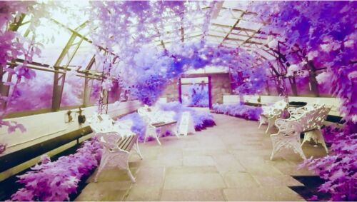 Candy Chrome, Infrared Filter, to fit 52mm Lens, See Video, Full Spectrum camera - Picture 6 of 11