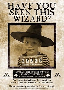 Unique personalised Harry Potter 'Wanted' poster gift 