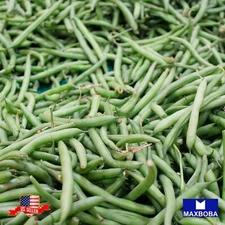 Fresh!!Bean Seeds - Lima - Henderson Lima Non-GMO Heirloom Vegetable Garden