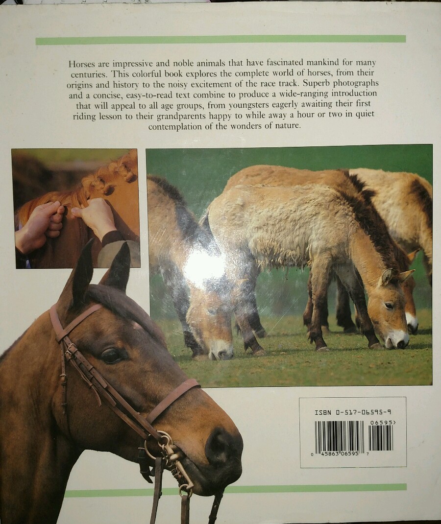 Picture 8 of 8