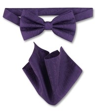 Vesuvio Napoli BowTie Dark Purple Paisley Color Mens Bow Tie and Handkerchief