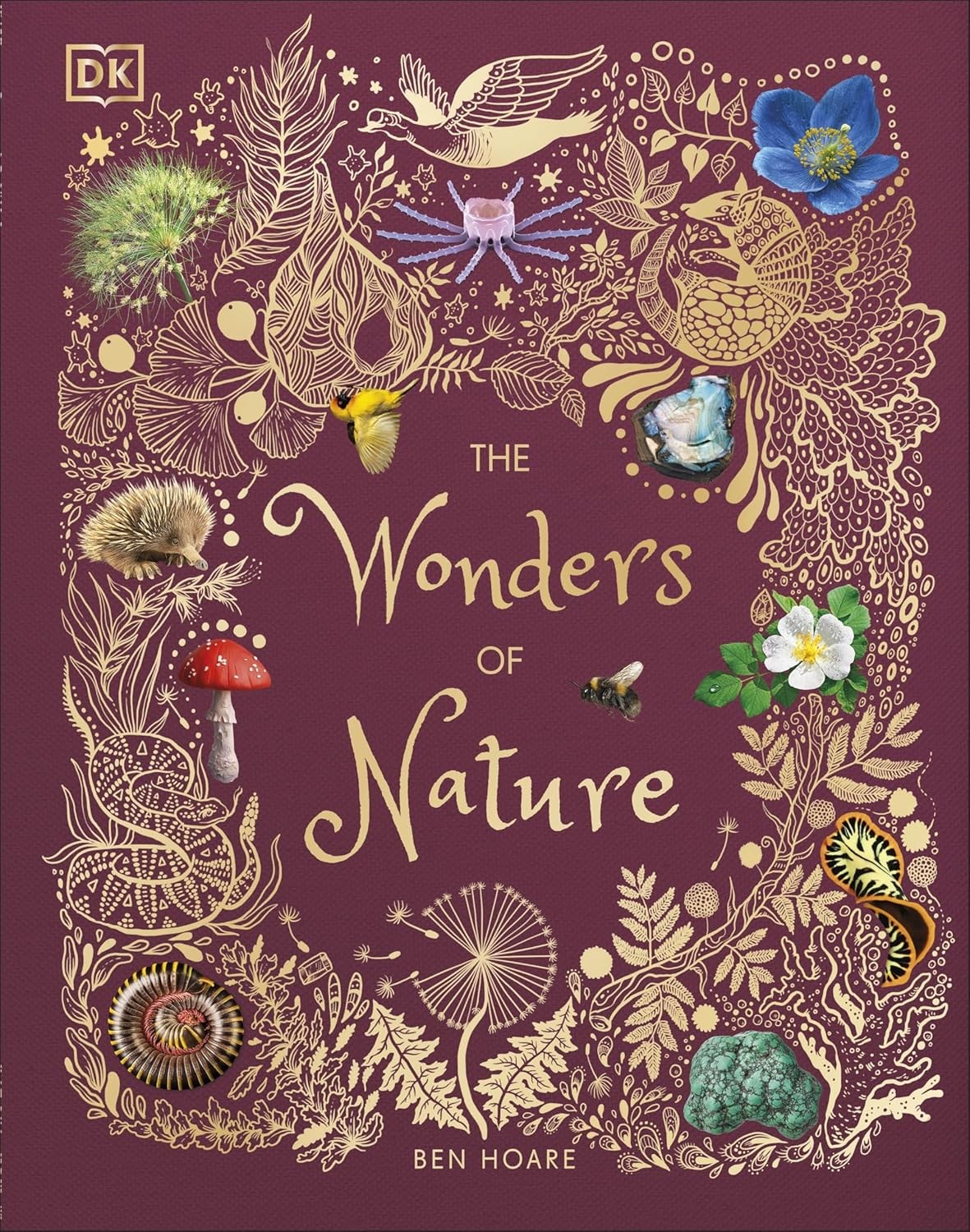 The Wonders of Nature-Ben Hoare - Image 18