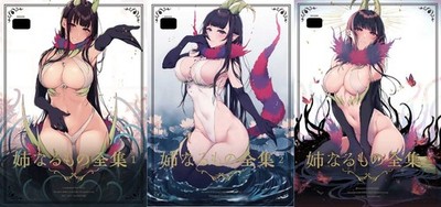 Ane Naru Mono Complete Book vol.1-3 Pochigoya Doujinshi Manga