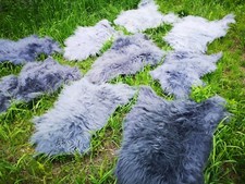 Echte Öko Island Schaffelle Schaffell Lammfell Fell Ca.100cm Grau  Schäppchen