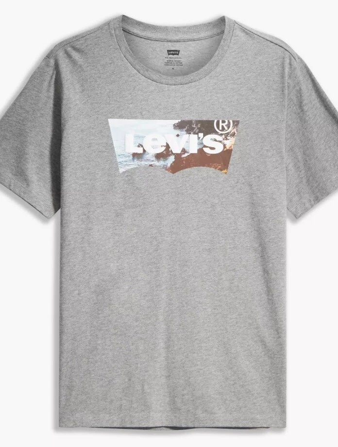Levi's housemark graphic hot sale tee