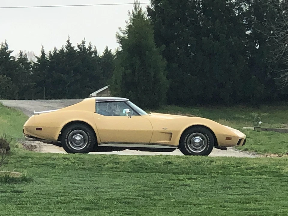 Chevrolet Corvette 1977 3 velocidades automático Foto 4 de 4