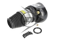 Luftfeder Federbein StossdÄMpfer Vorderachse Links FÜR BMW - AIC 71113