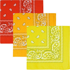 100 Cotton Large Bandanas for Men and Women, 22 Inch Paisley Bandana with Multi