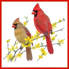 30 Custom Cardinal Art Personalized Address Labels