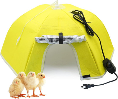 Large Chick Brooder Heating Plate Chick Brooder Box 21.6'' Heat up to 50 Chicks,