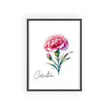 January Carnation Birthflower Posters with Wooden Frame