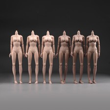1/6 Mid/Big/Max Bust Pale/Suntan Skin Female 12"Flexible Action Figure Doll Body
