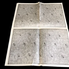 TRI CHEM Strawberry 2 Placemats 8410  Liquid Embroidery Picture instructions Vtg