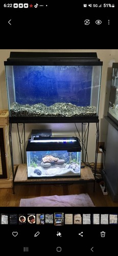 20 GALLON TANK, LIGHT, COVER AND STAND COMBO.   ***REDUCED PRICE***