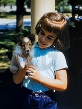Girl Holding Collie or Shetland Sheepdog/Sheltie Puppy Dog: 1950's 35mm Slide