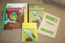 4 książki Papuga szara Papuga Papuga z głową moru Hodowla Postawa 