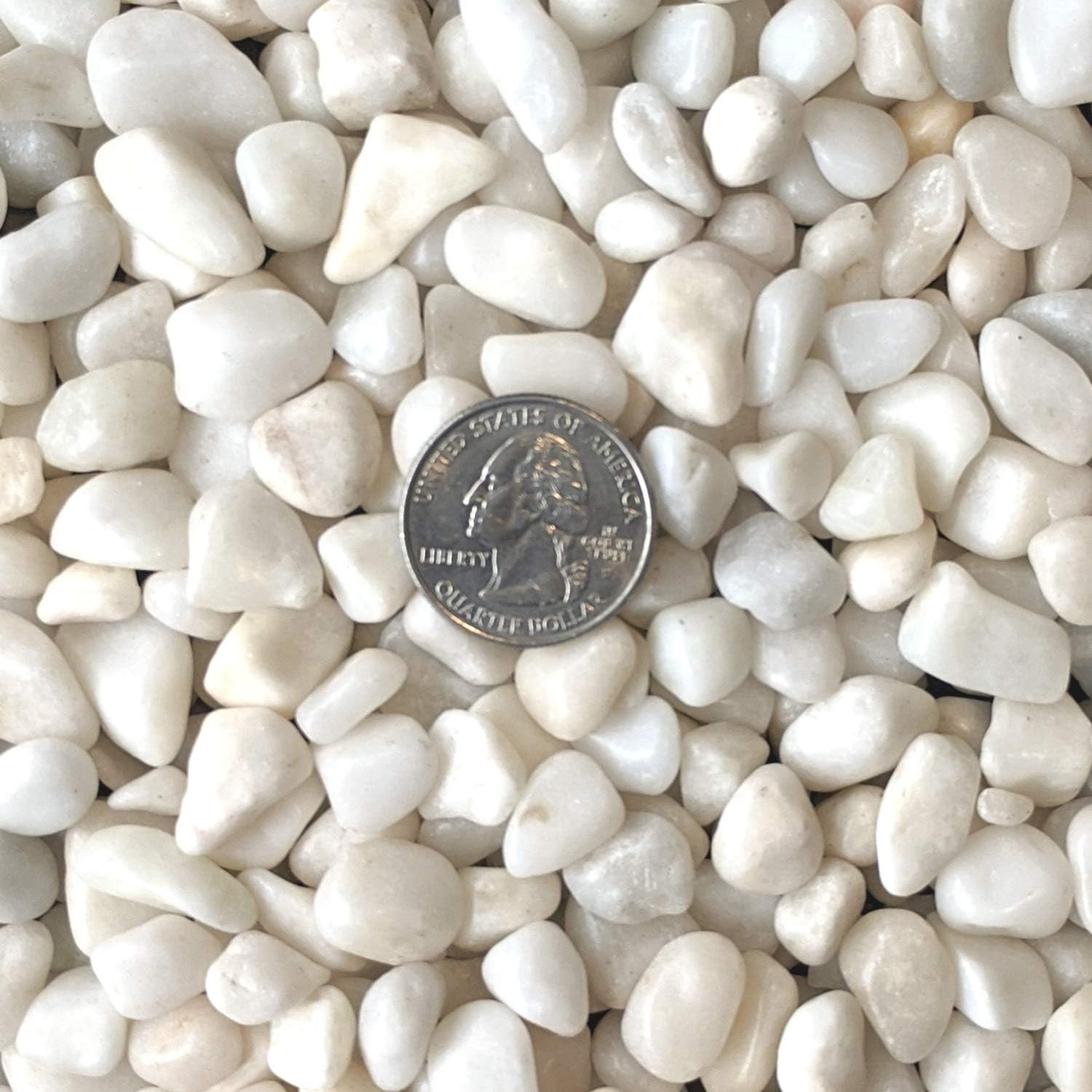 Natural White Decorative Pebbles 3/8" Size - Elegant Landscape Enhancers, 10lb