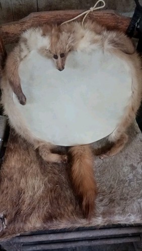 **AWESOME  VINTAGE NATIVE AMERICAN  RAWHIDE HAND DRUM  PRAYER DRUM !!""