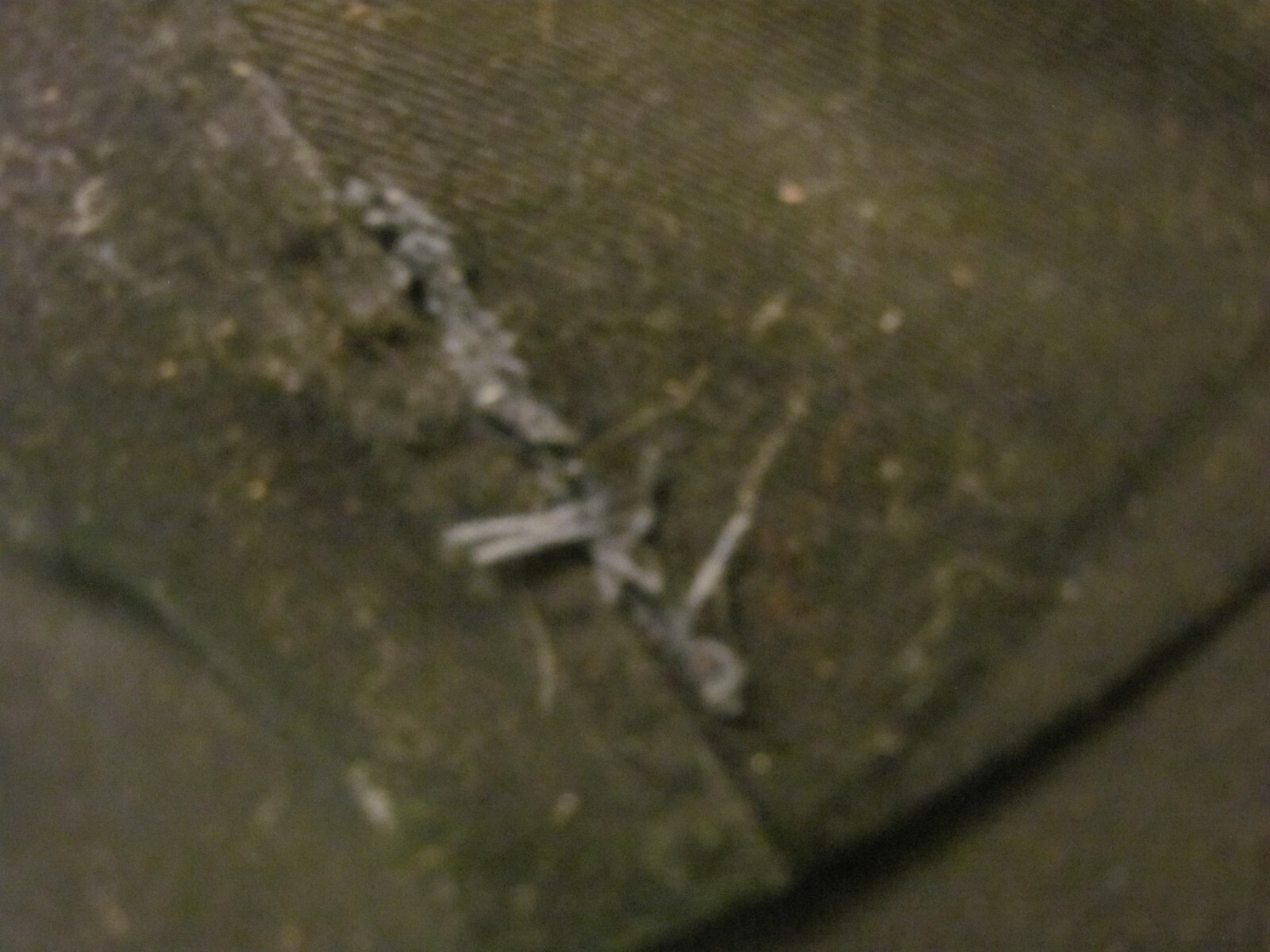 DISTRICT 605 Area Code Black Adjustable Baseball … - image 2