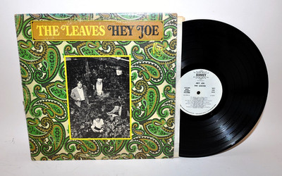 1966 The LEAVES - Hey Joe LP - Surrey Super Rare White Label DJ Copy, Psych