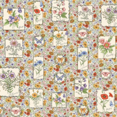 Maywood Garden Stroll by Kris Lammers 10120 E Cream Flower Frames  Cotton 