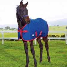 Weatherbeeta Original 1200D Foal/Small Pony Medium (220g) Turnout Rug 3'0"- 3'9"
